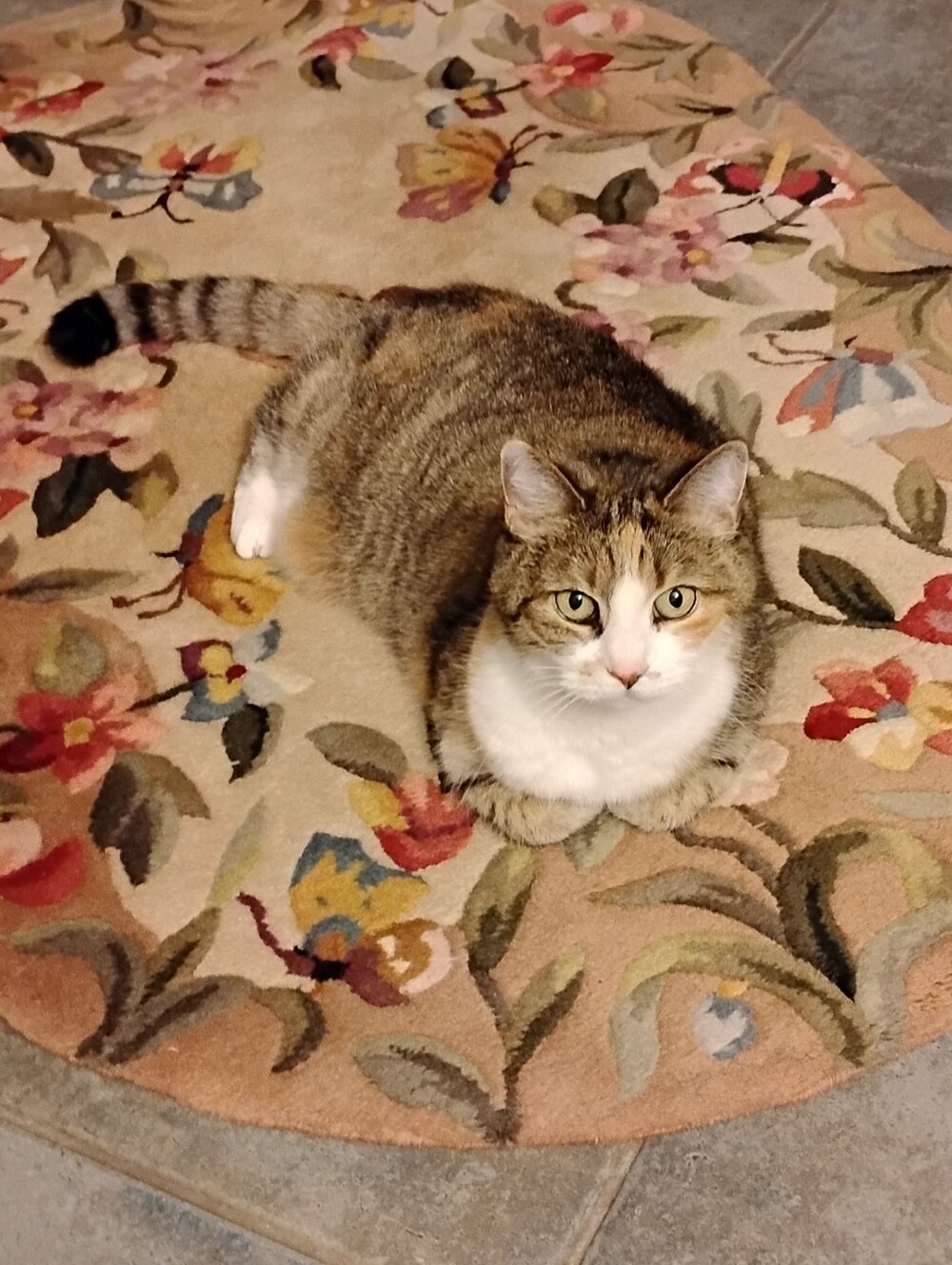 My Sweet Jasmine💕🌈